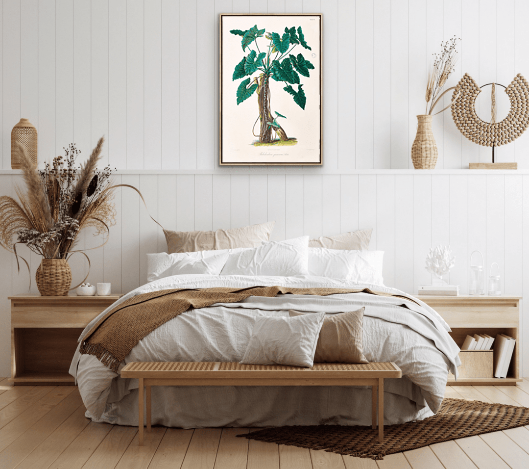 Philodendron Speciosum or Thaumatophyllum Speciosum from Icones Aroidearum (1857) by Heinrich Wilhelm Schott - I Heart Wall Art - Poster Print, Canvas Print or Framed Art Print