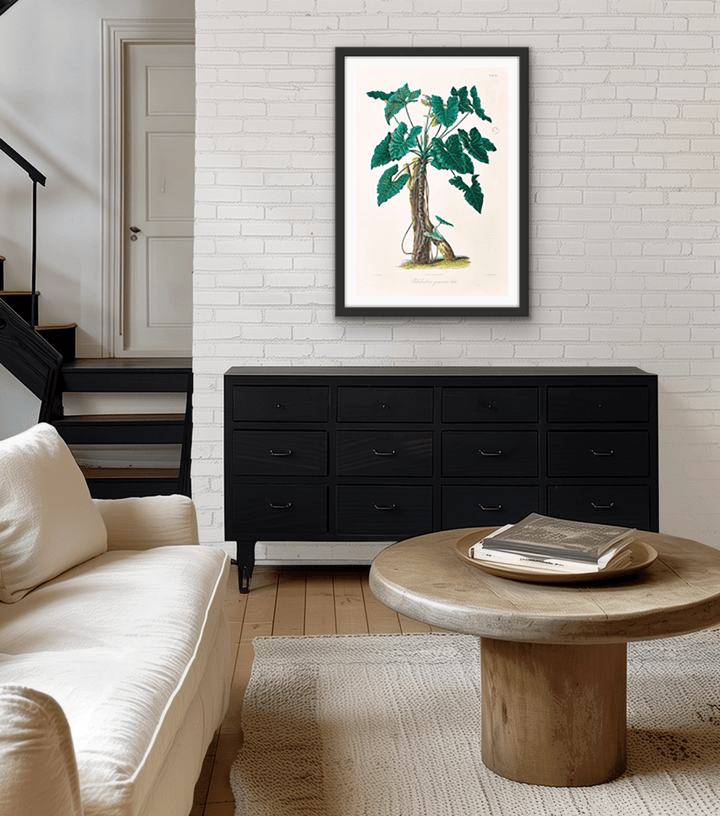 Philodendron Speciosum or Thaumatophyllum Speciosum from Icones Aroidearum (1857) by Heinrich Wilhelm Schott - I Heart Wall Art - Poster Print, Canvas Print or Framed Art Print
