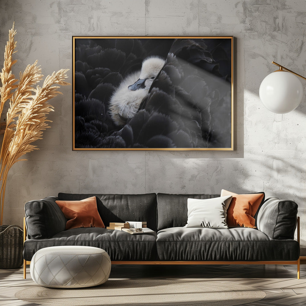 Pickaback - Stretched Canvas, Poster or Fine Art Print I Heart Wall Art
