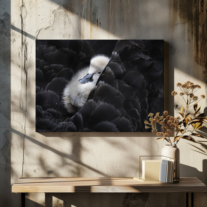 Pickaback - Stretched Canvas, Poster or Fine Art Print I Heart Wall Art