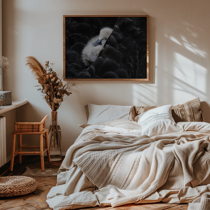 Pickaback - Stretched Canvas, Poster or Fine Art Print I Heart Wall Art