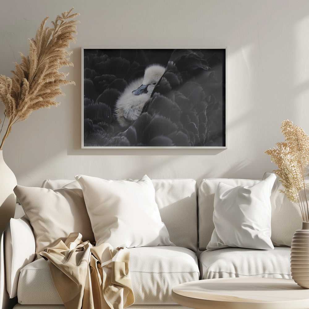 Pickaback - Stretched Canvas, Poster or Fine Art Print I Heart Wall Art