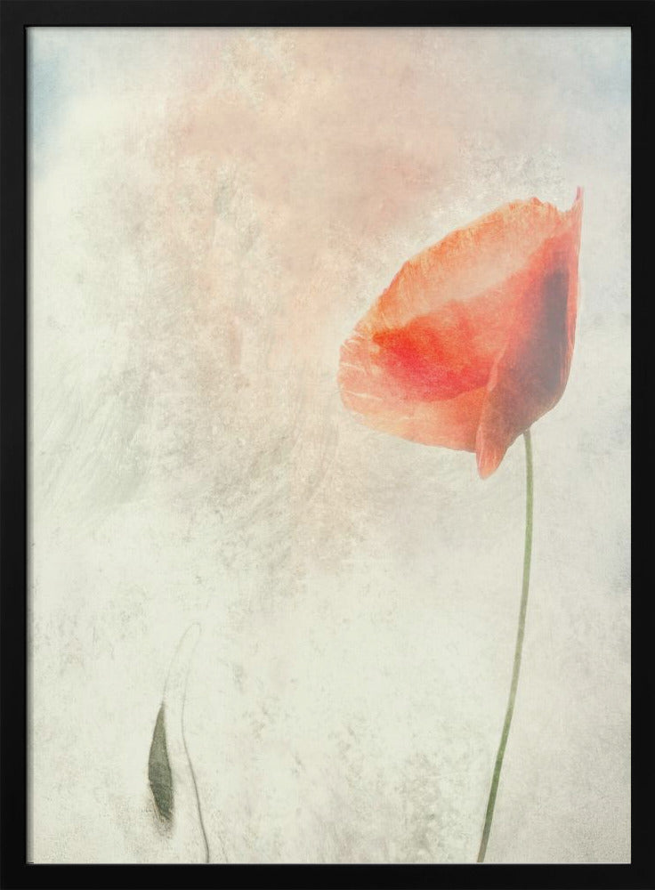 We should not sleep... - Stretched Canvas, Poster or Fine Art Print I Heart Wall Art