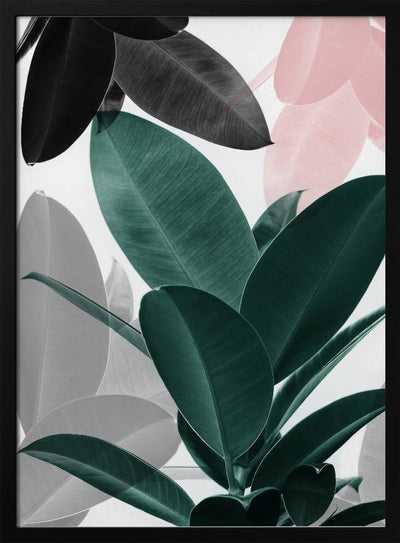 Leaf Play - Stretched Canvas, Poster or Fine Art Print I Heart Wall Art