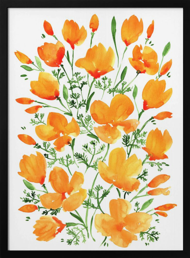 Watercolor California poppies - Stretched Canvas, Poster or Fine Art Print I Heart Wall Art
