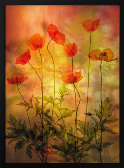 Fire - Stretched Canvas, Poster or Fine Art Print I Heart Wall Art