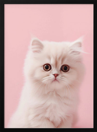 Kitty 4 - Stretched Canvas, Poster or Fine Art Print I Heart Wall Art