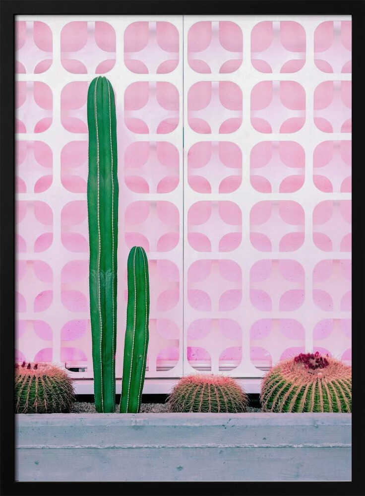 Cact-Hi! - Stretched Canvas, Poster or Fine Art Print I Heart Wall Art
