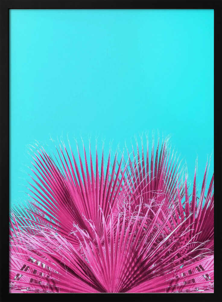 Electric Pink Palm Fronds - Stretched Canvas, Poster or Fine Art Print I Heart Wall Art