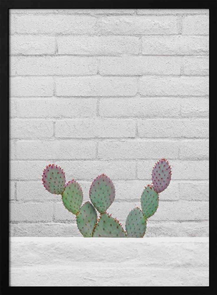 Stay Sharp - Stretched Canvas, Poster or Fine Art Print I Heart Wall Art