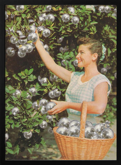 Disco Ball Grove - Stretched Canvas, Poster or Fine Art Print I Heart Wall Art