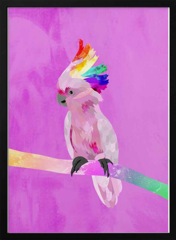 6 Rainbow Cockatoo 01 - Stretched Canvas, Poster or Fine Art Print I Heart Wall Art