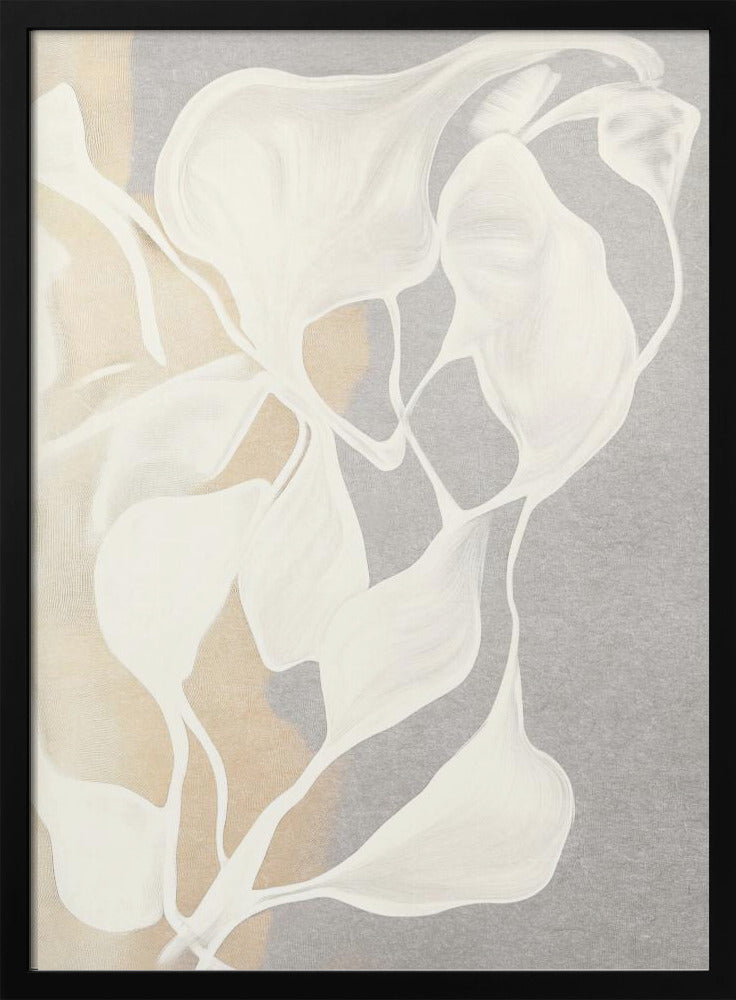 Whispers in White - Stretched Canvas, Poster or Fine Art Print I Heart Wall Art