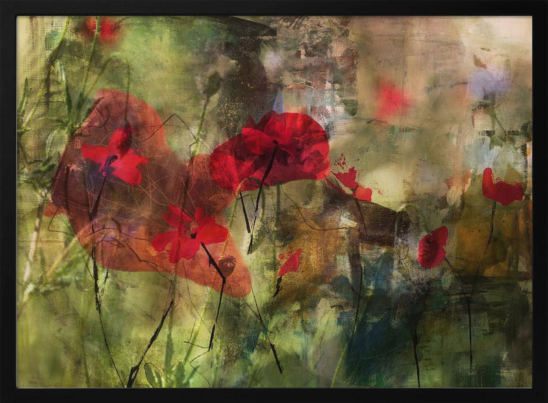 Poppies - Stretched Canvas, Poster or Fine Art Print I Heart Wall Art