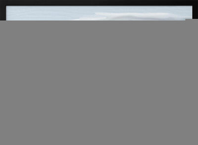 Veiled In Shadows, Rooted In Vines, Stellenbosch, South Africa - Stretched Canvas, Poster or Fine Art Print I Heart Wall Art