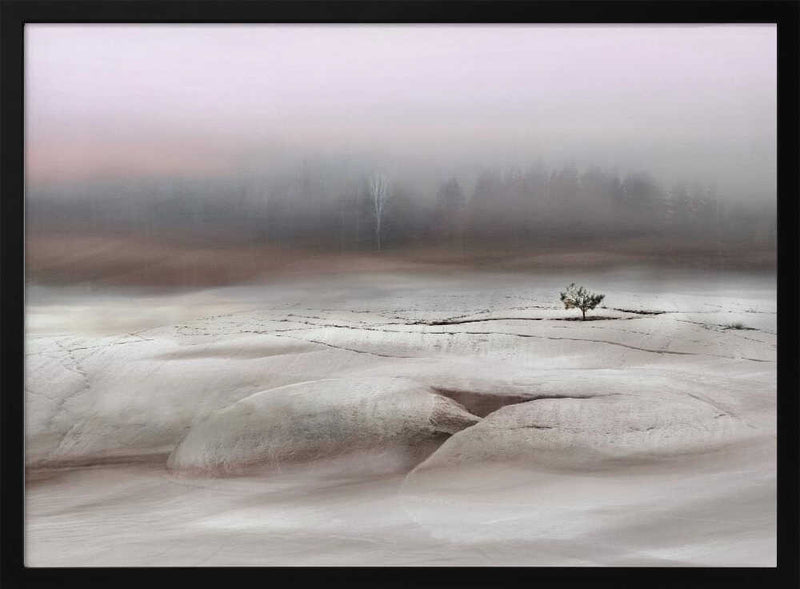 Solitude in White - Stretched Canvas, Poster or Fine Art Print