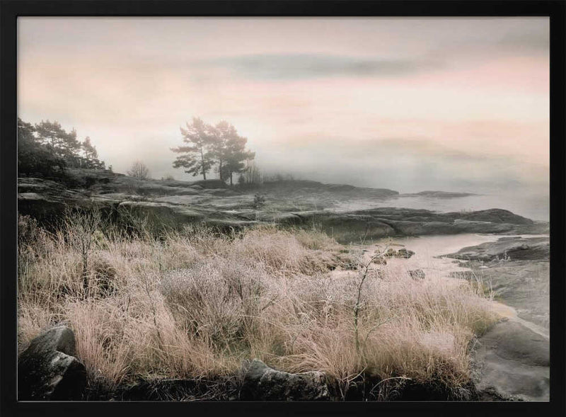 Morning Frost - Stretched Canvas, Poster or Fine Art Print