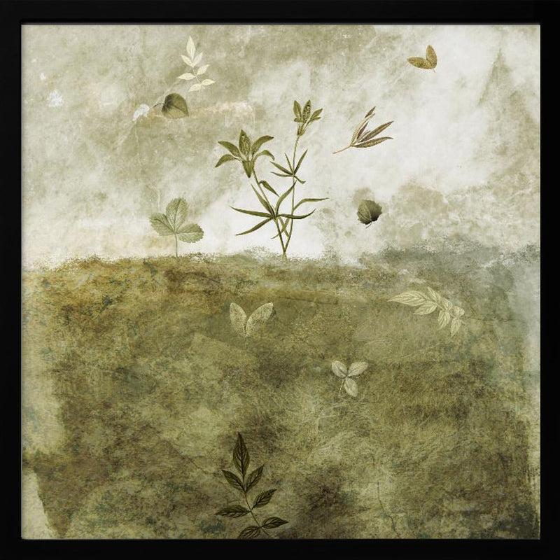 Olive - Square Stretched Canvas, Poster or Fine Art Print I Heart Wall Art