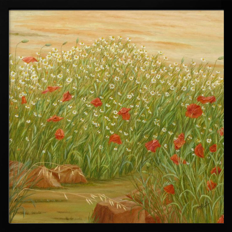 Daisies and  Poppies - Square Stretched Canvas, Poster or Fine Art Print I Heart Wall Art