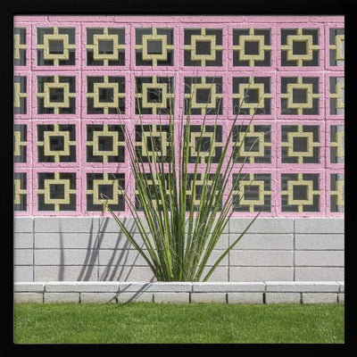 Mid-Century Breeze Block Wall with Cactus in Palm Springs, California - Square Stretched Canvas, Poster or Fine Art Print I Heart Wall Art