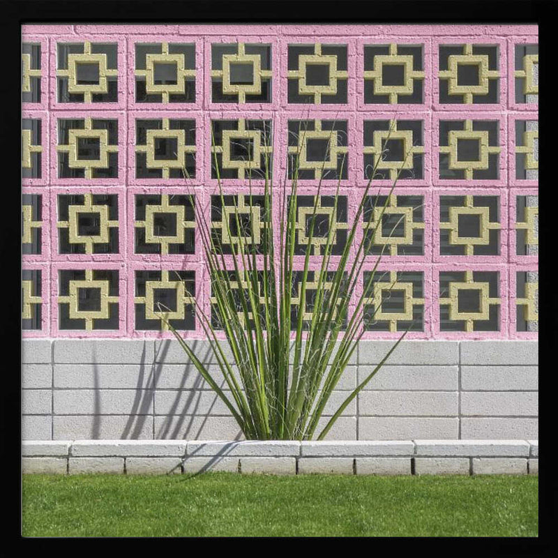 Mid-Century Breeze Block Wall with Cactus in Palm Springs, California - Square Stretched Canvas, Poster or Fine Art Print I Heart Wall Art