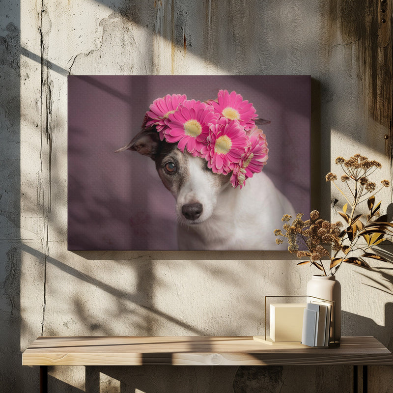 Mrs. Spring - Stretched Canvas, Poster or Fine Art Print I Heart Wall Art