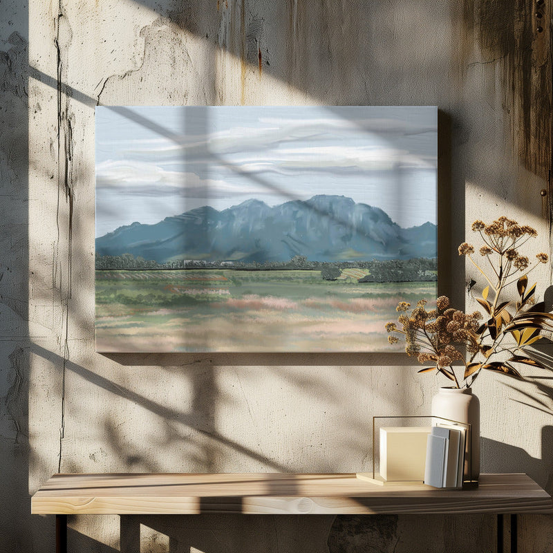 Veiled In Shadows, Rooted In Vines, Stellenbosch, South Africa - Stretched Canvas, Poster or Fine Art Print I Heart Wall Art