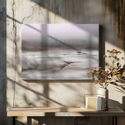 Solitude in White - Stretched Canvas, Poster or Fine Art Print