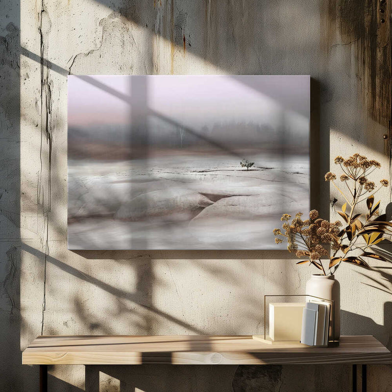 Solitude in White - Stretched Canvas, Poster or Fine Art Print