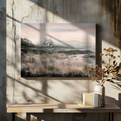 Morning Frost - Stretched Canvas, Poster or Fine Art Print