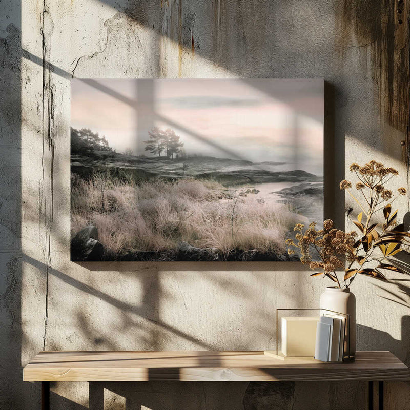 Morning Frost - Stretched Canvas, Poster or Fine Art Print