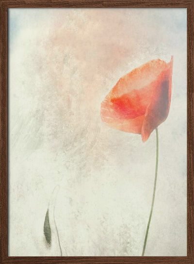 We should not sleep... - Stretched Canvas, Poster or Fine Art Print I Heart Wall Art