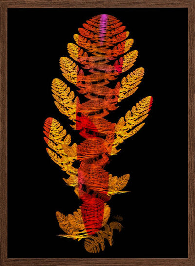 Steps: A Walk to Ultraviolet - Stretched Canvas, Poster or Fine Art Print I Heart Wall Art