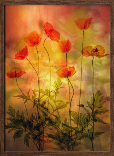 Fire - Stretched Canvas, Poster or Fine Art Print I Heart Wall Art