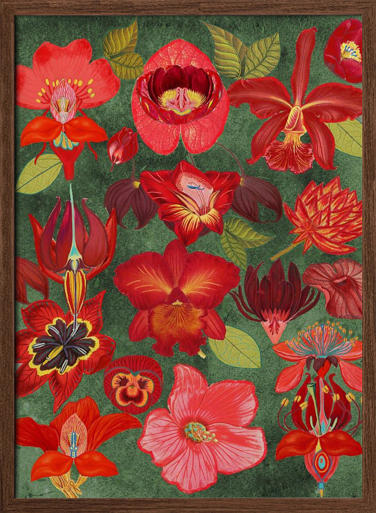 Final Eclectic Garden Copy 3.png - Stretched Canvas, Poster or Fine Art Print I Heart Wall Art