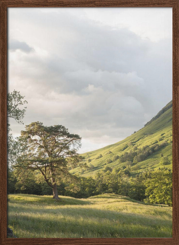 Into the Highlands - Stretched Canvas, Poster or Fine Art Print I Heart Wall Art