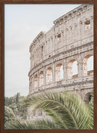 Colosseum - Stretched Canvas, Poster or Fine Art Print I Heart Wall Art