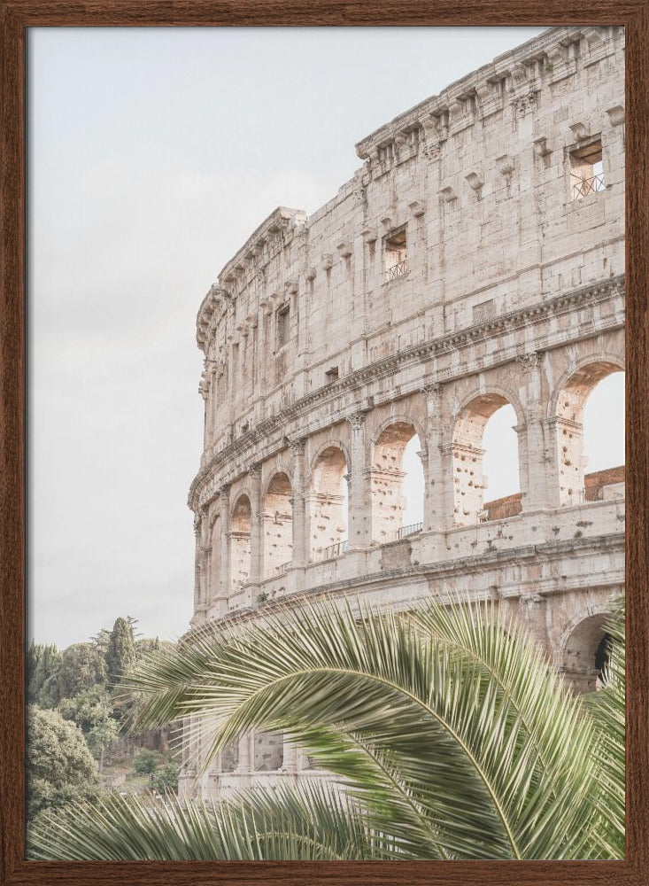 Colosseum - Stretched Canvas, Poster or Fine Art Print I Heart Wall Art