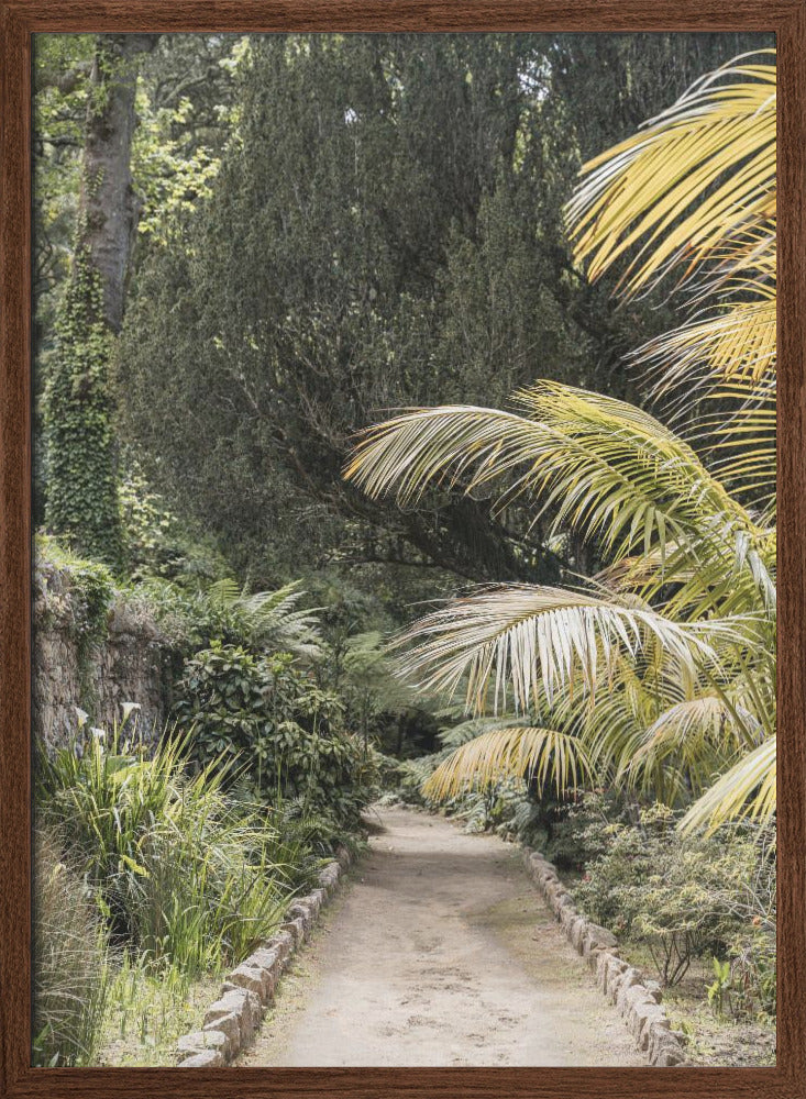 Tropical Walk - Stretched Canvas, Poster or Fine Art Print I Heart Wall Art