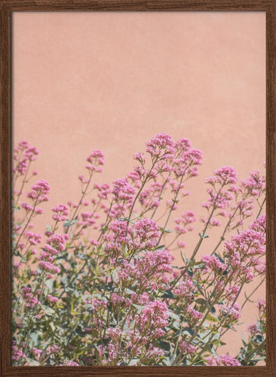 Summer Flowers - Stretched Canvas, Poster or Fine Art Print I Heart Wall Art