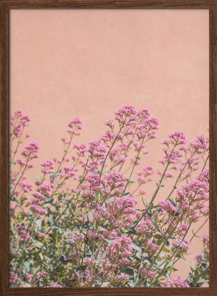 Summer Flowers - Stretched Canvas, Poster or Fine Art Print I Heart Wall Art