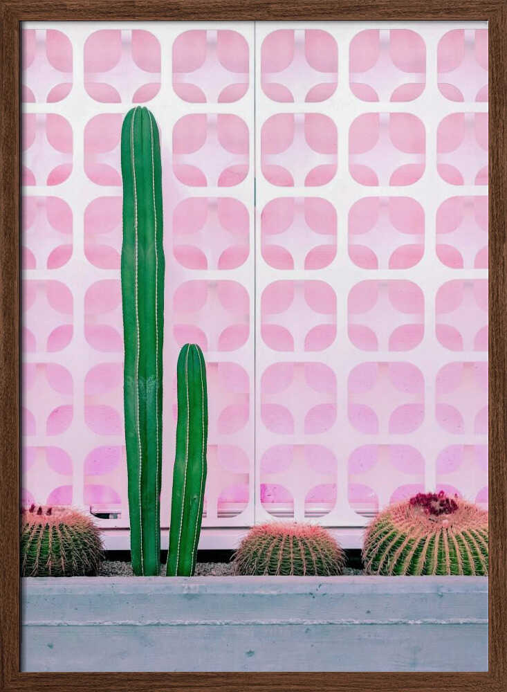 Cact-Hi! - Stretched Canvas, Poster or Fine Art Print I Heart Wall Art