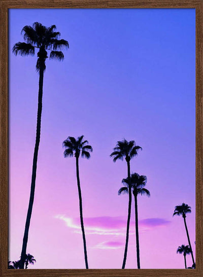 Palm Tree Sunset - Stretched Canvas, Poster or Fine Art Print I Heart Wall Art