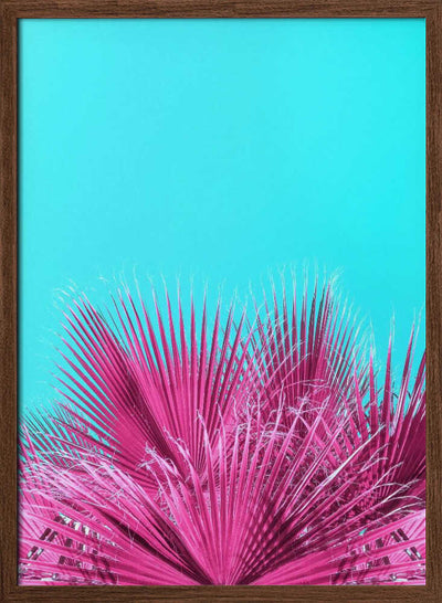 Electric Pink Palm Fronds - Stretched Canvas, Poster or Fine Art Print I Heart Wall Art