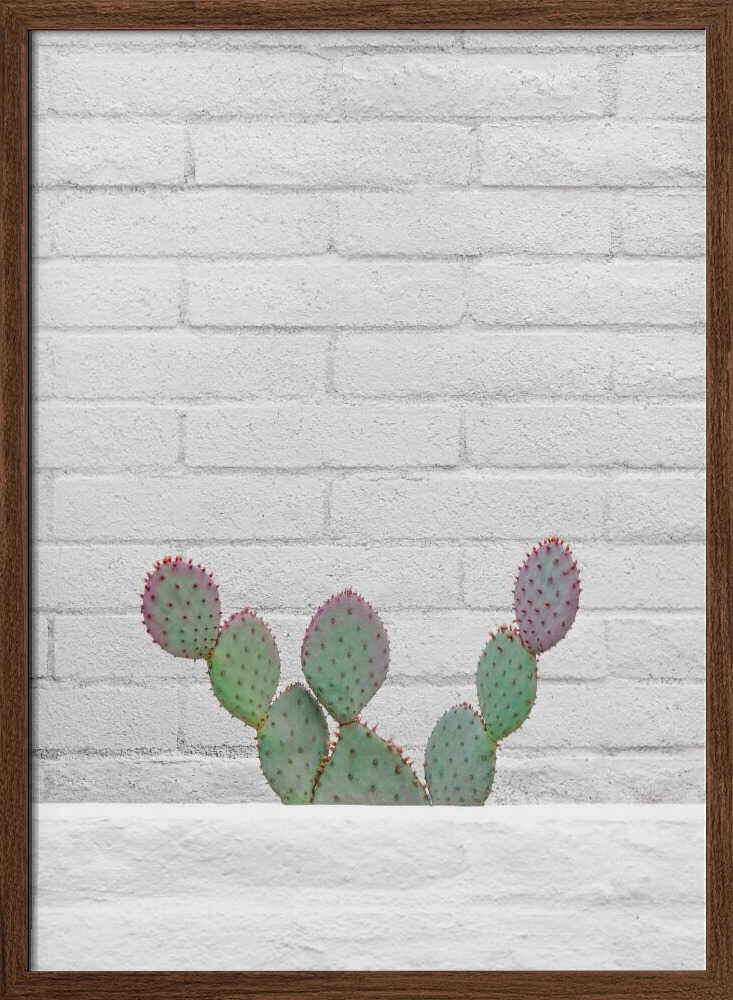 Stay Sharp - Stretched Canvas, Poster or Fine Art Print I Heart Wall Art