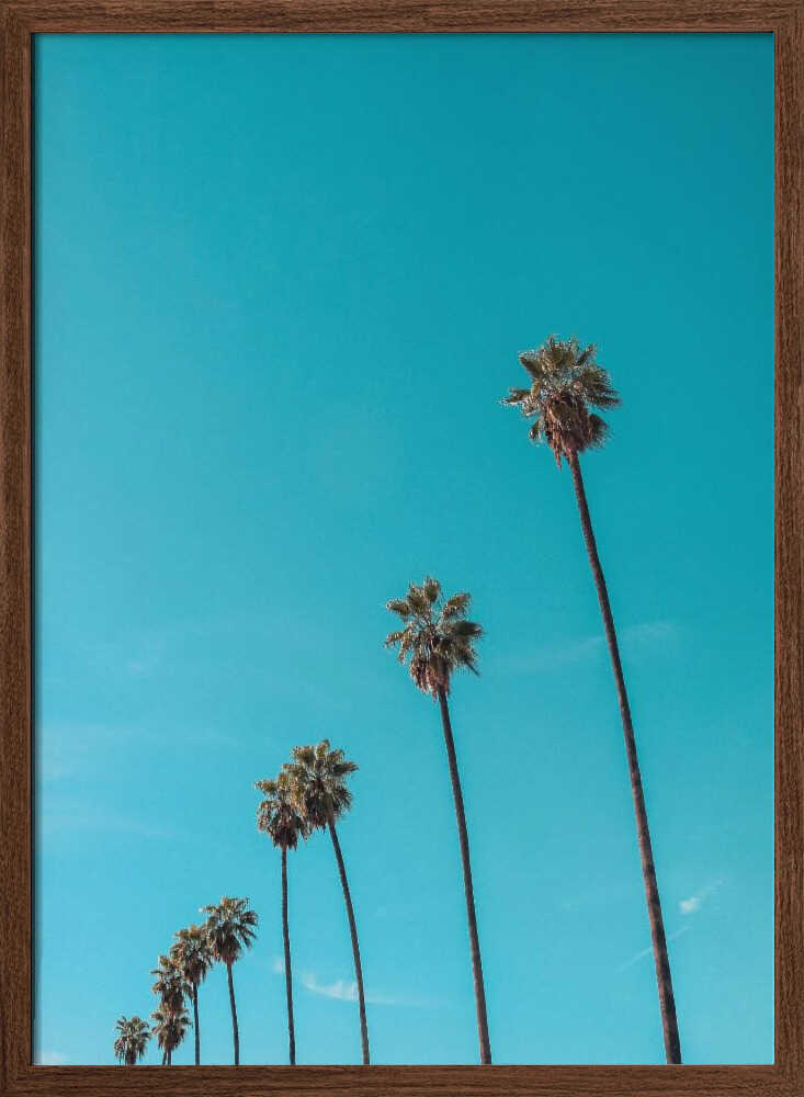 Skydusters - Stretched Canvas, Poster or Fine Art Print I Heart Wall Art