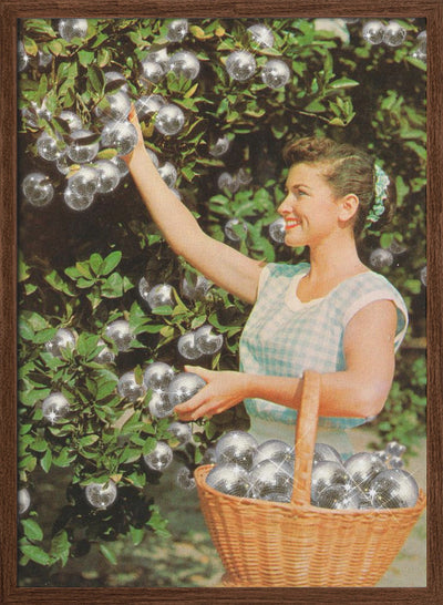 Disco Ball Grove - Stretched Canvas, Poster or Fine Art Print I Heart Wall Art