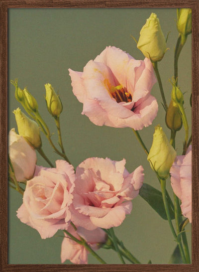 57 - Stretched Canvas, Poster or Fine Art Print I Heart Wall Art