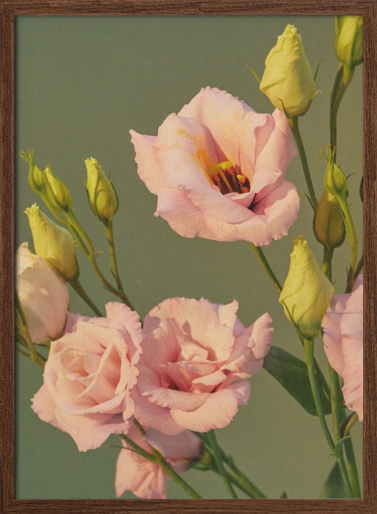 57 - Stretched Canvas, Poster or Fine Art Print I Heart Wall Art