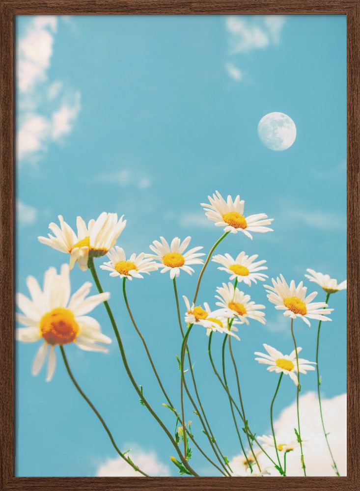 Magical Daisies - Stretched Canvas, Poster or Fine Art Print I Heart Wall Art